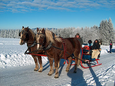 Pferdeschlittenfahrt durch den verschneiten Schwarzwald