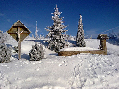 Wintermärchen im Hochschwarzwald